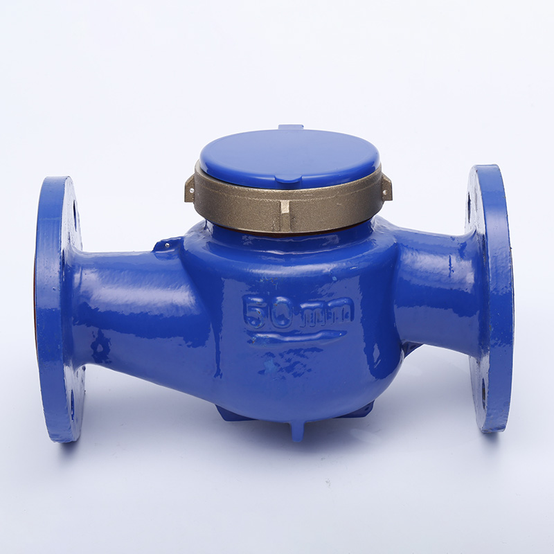 In che modo un contatore dell'acqua residenziale a getto multiplo da 50 mm migliora l'efficienza della gestione dell'acqua?